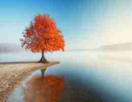 专‌业‌百​度‌统﻿计​服‍务​